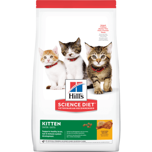 Science Diet Kitten Chicken Recipe Dry Cat Food