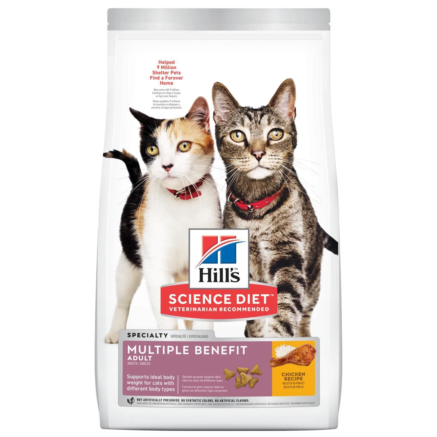 Cat diet top dry food