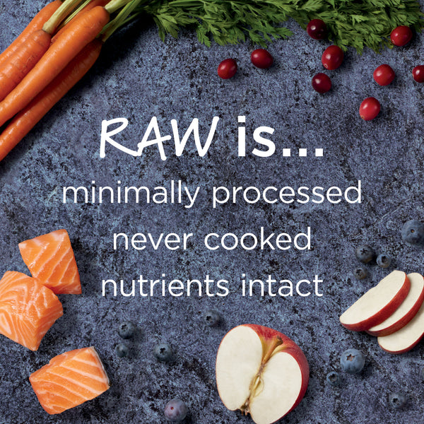 Nature's Variety Instinct Raw Boost Grain Free Recipe with Real Salmon Natural Dry Dog Food