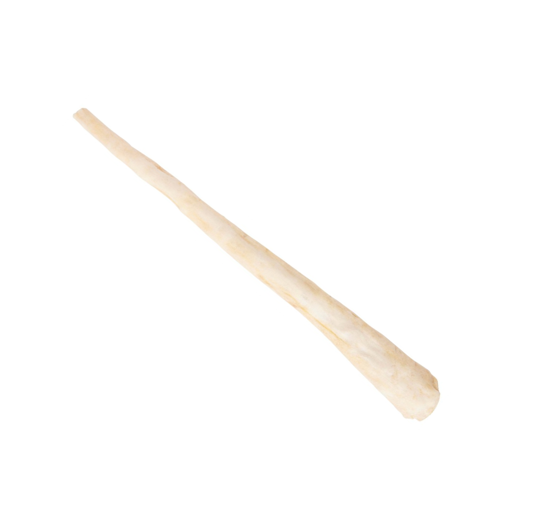 Wild Eats Water Buffalo Tail Dog Chew