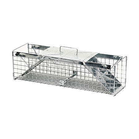 Buy Havahart Live Squirrel Trap