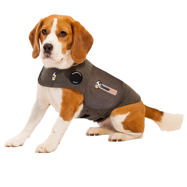 Thundershirt Grey XX-Small